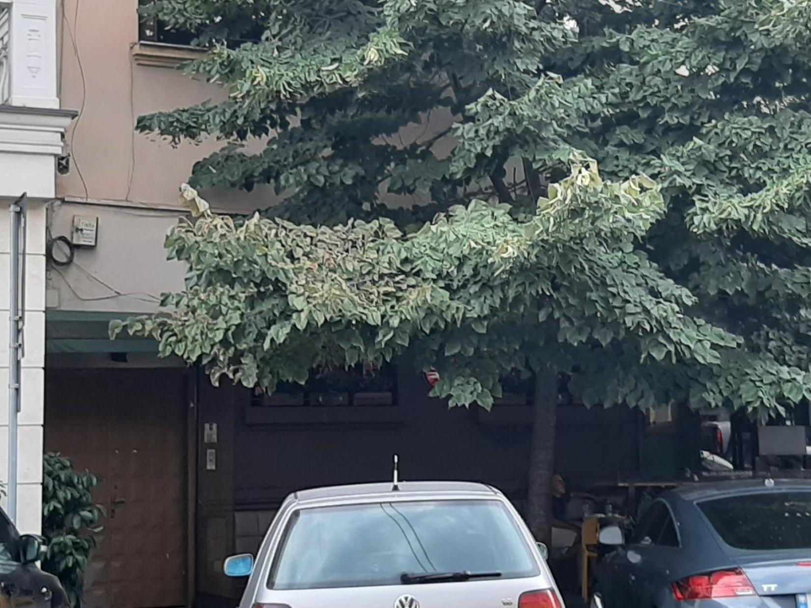 Yes Apartman Tirana Szoba fotó